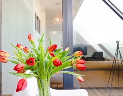 Modernes Penthouse mitten im urbanen Wien-Flair