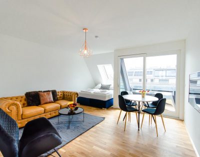 Bright modern apartment near the city center