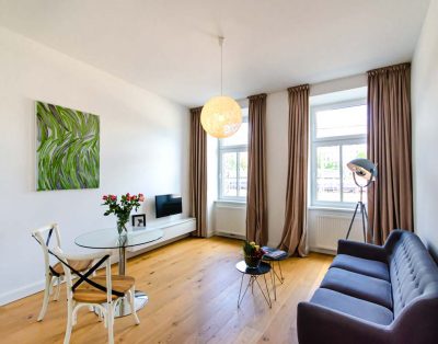 Cozy apartment near Westbahnhof and Mariahilfer Straße