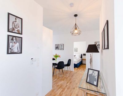 Modernes Penthouse mitten im urbanen Wien-Flair