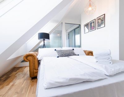 Modernes Penthouse mitten im urbanen Wien-Flair