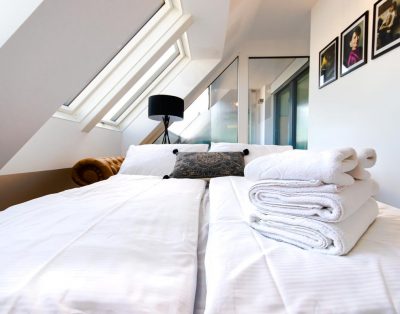 Modernes Penthouse mitten im urbanen Wien-Flair