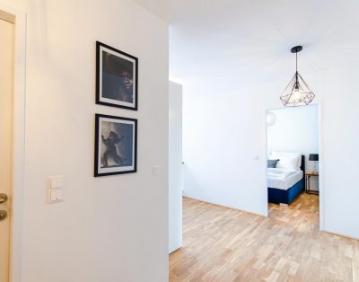 Bright modern apartment near the city center