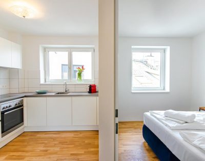 Bright modern apartment near the city center