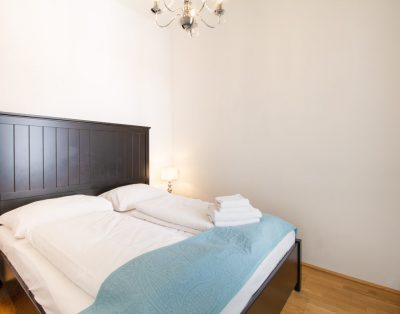 Elegant serviced apartment in the heart of urban Vienna