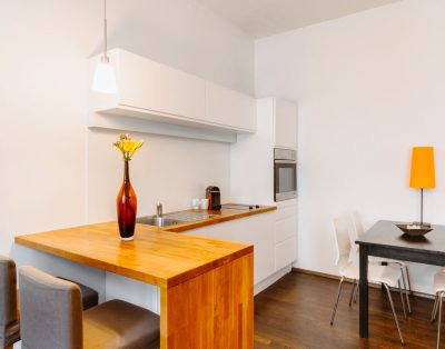 Furnished temporary flat in the 7th district of Vienna