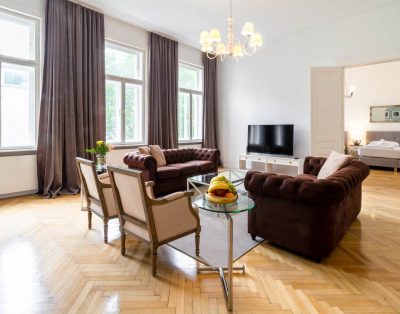 Large luxury apartment near Votivkirche and Townhall