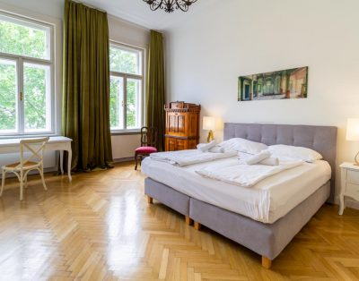 Large luxury apartment near Votivkirche and Townhall