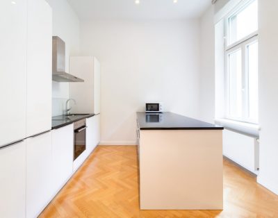 Large luxury apartment near Votivkirche and Townhall