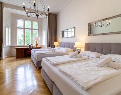 Large luxury apartment near Votivkirche and Townhall