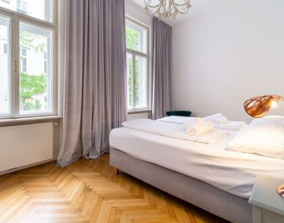 Large luxury apartment near Votivkirche and Townhall