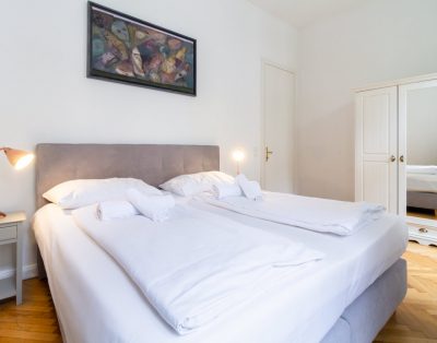 Large luxury apartment near Votivkirche and Townhall