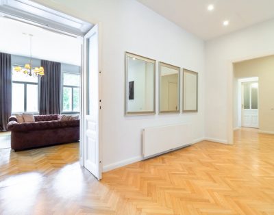 Large luxury apartment near Votivkirche and Townhall