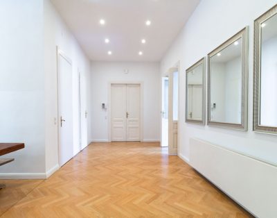 Large luxury apartment near Votivkirche and Townhall