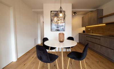 Modern apartment near U4 station Pilgramgasse