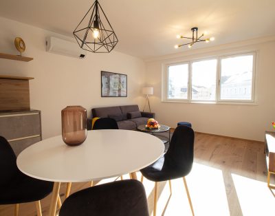 Modern apartment near U4 station Pilgramgasse