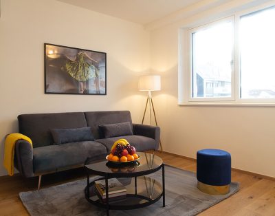 Modern apartment near U4 station Pilgramgasse