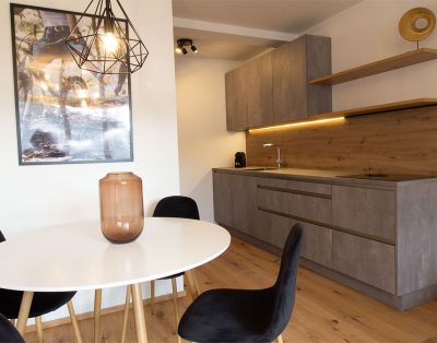 Modern apartment near U4 station Pilgramgasse