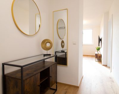 Modern apartment near U4 station Pilgramgasse