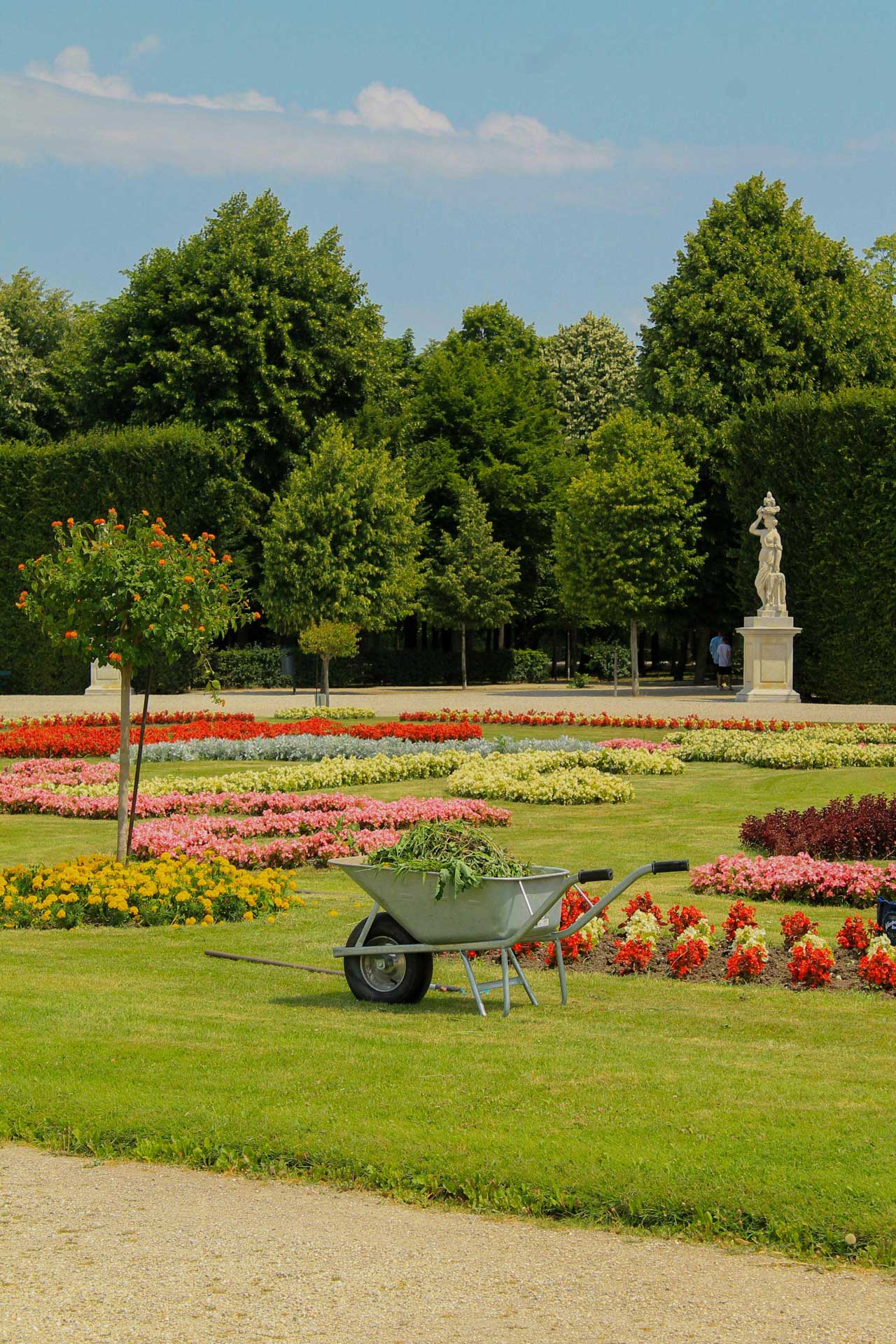 Flowers in Vienna at Schönbrunn Palace - popular tourist spot