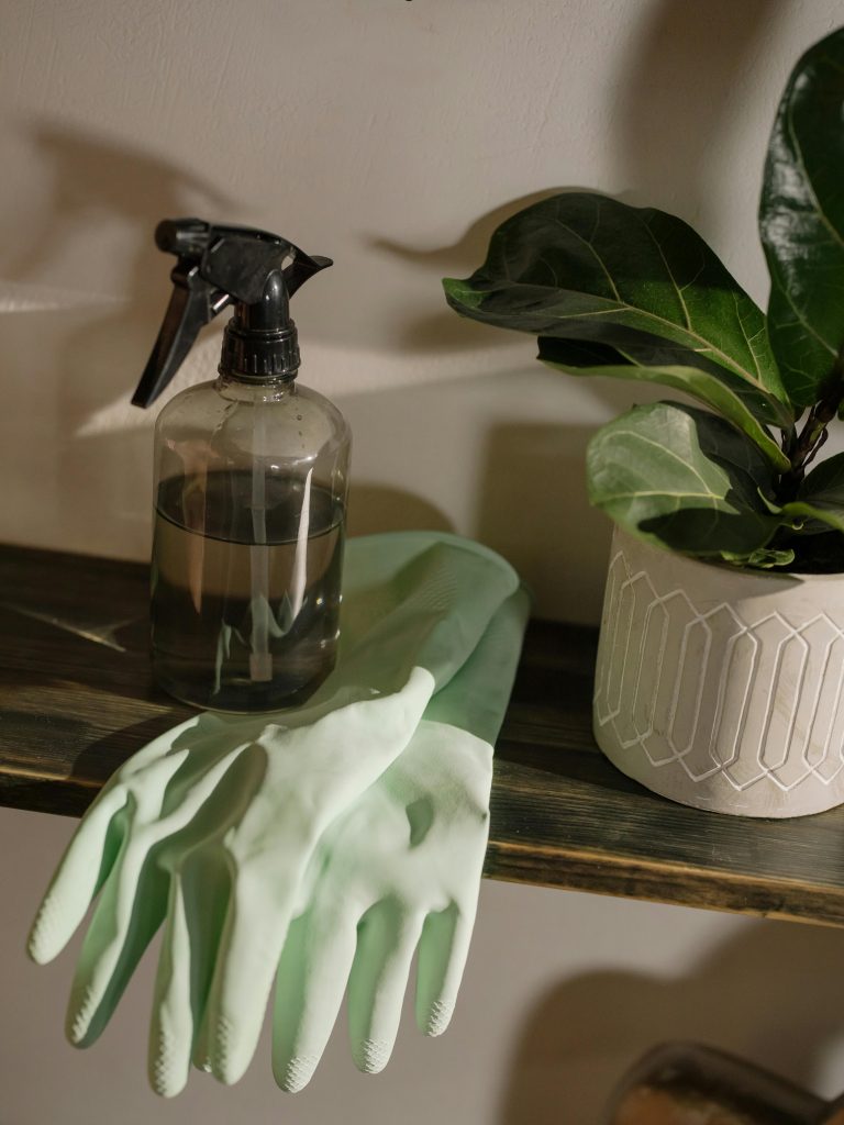 Cleaning materials and gloves on a shelf next to a plant